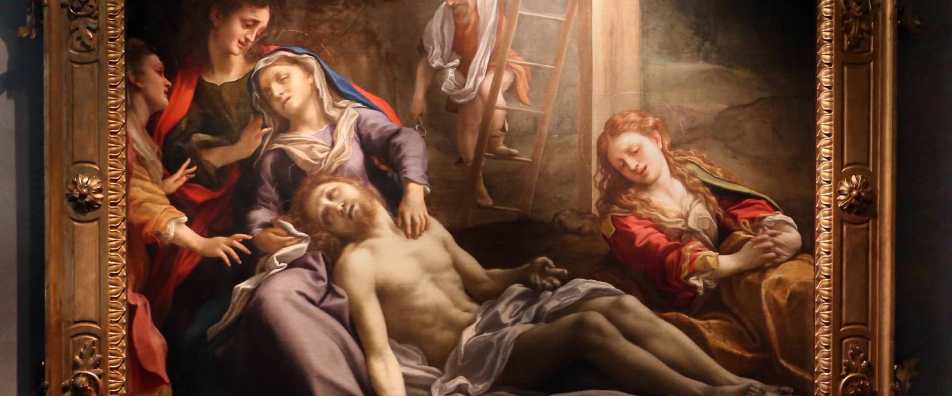 Correggio, compianto sul cristo morto, 1524 ca. 01 foto di Sailko